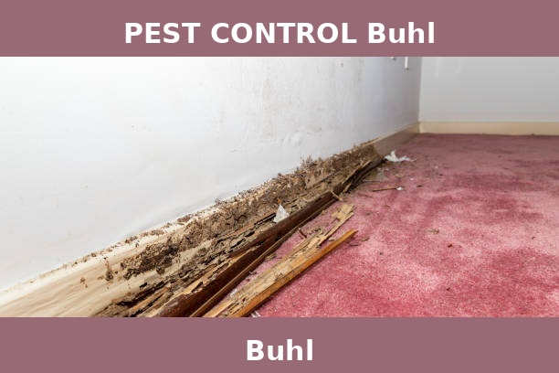 PEST CONTROL Buhl